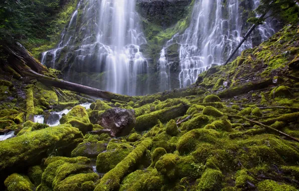 Picture rock, stones, waterfall, moss, Oregon, cascade, Oregon, logs