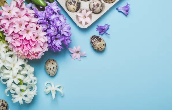 Flowers, eggs, spring, Easter, happy, flowers, spring, Easter