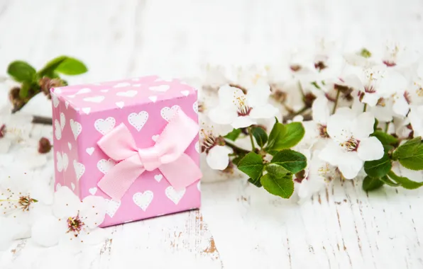 Gift, branch, tape, white, flowers, Olena Rudo