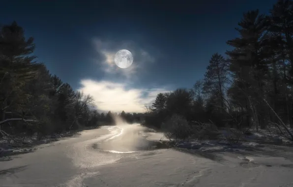 Winter, forest, the sky, clouds, snow, trees, night, river