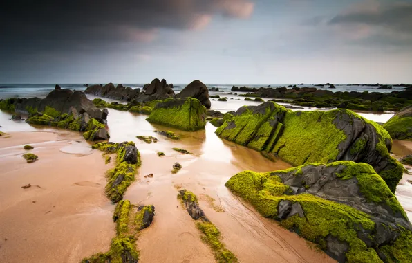 Picture sea, landscape, rocks