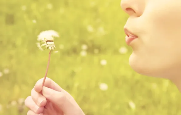Greens, grass, the sun, dandelion, lips. summer