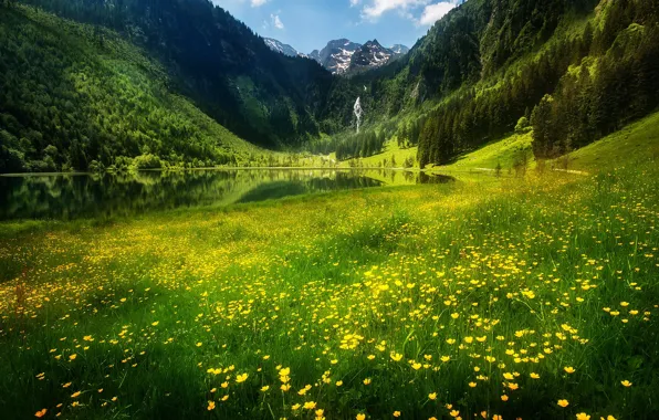Picture landscape, flowers, mountains, nature, lake, the slopes, waterfall, Austria