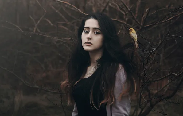 Forest, girl, bird, cansu ozkaraca
