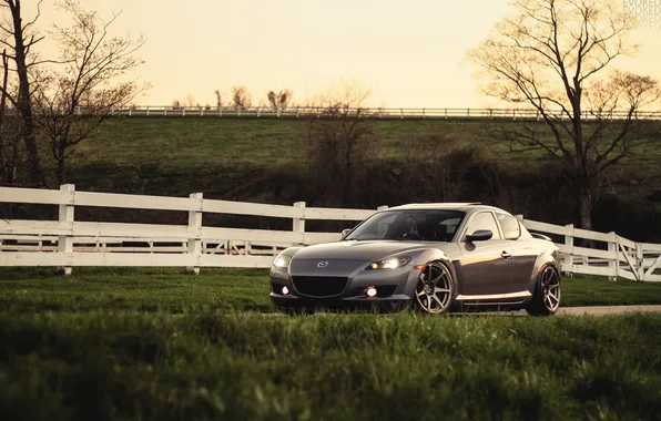 Picture Mazda, Mazda, RX-8, silvery, Evoked, white fence