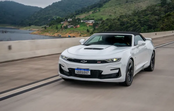 Picture Chevrolet, Camaro, front view, Chevrolet Camaro SS Convertible