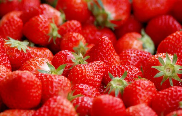 Macro, berries, strawberry