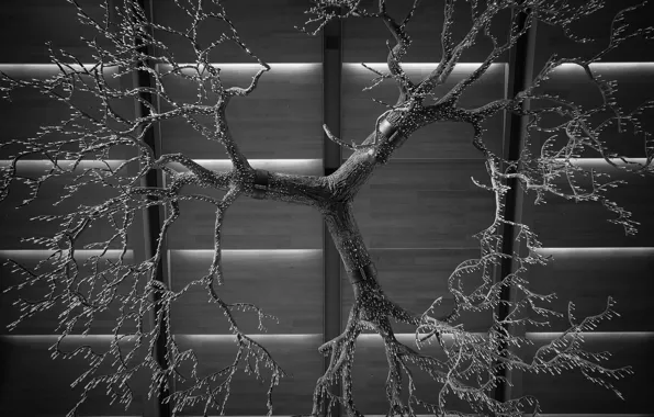 Picture drops, branches, black and white photo