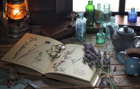 Flowers, lamp, glasses, drawings, book, bottle, still life, vintage