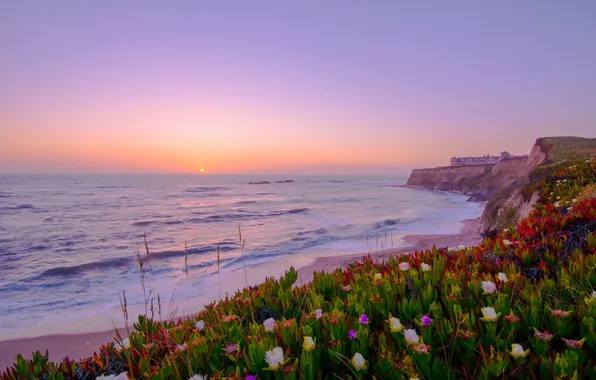 Picture sea, landscape, sunset, flowers