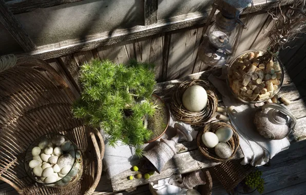 View, plant, shadows, items, GOOD MORNING