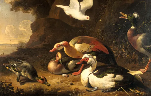 Picture animal, bird, duck, picture, Melchior de Hondekuter