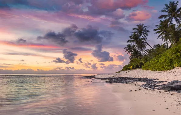 Picture sea, palm trees, shore, sunset