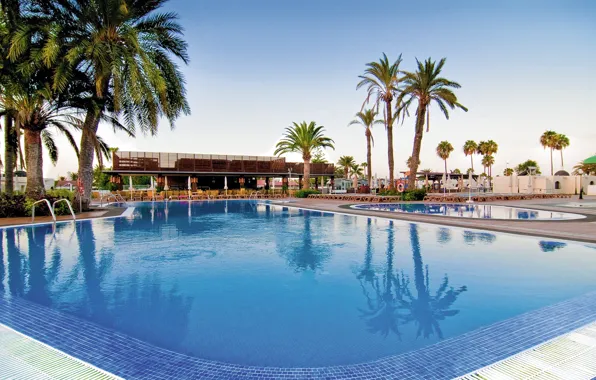 Palm trees, pool, resort, Canary Islands
