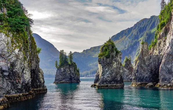 Beauty, Alaska, Alaska, National Park, National Park, Kenai Fjords, Spire Cove, Spyre Bay