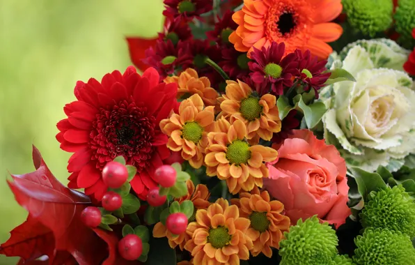 Leaves, flowers, bright, roses, bouquet, red, orange, gerbera