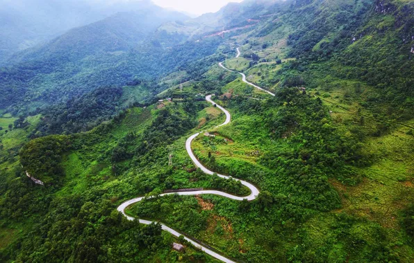 Road, greens, forest, clouds, trees, mountains, fog, Vietnam