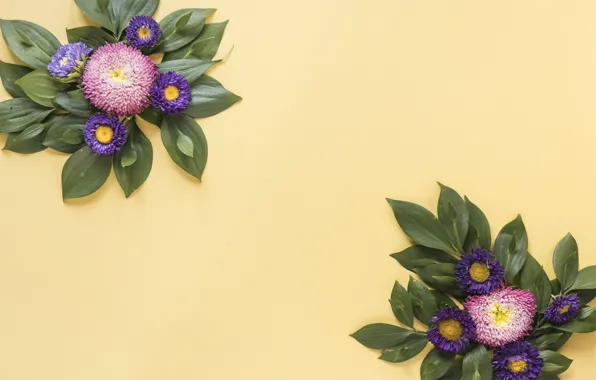Leaves, flowers, yellow, background, yellow, pink, flowers, background