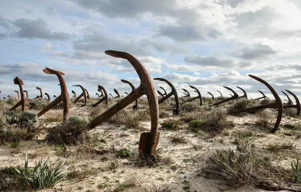 Field, the sky, anchor
