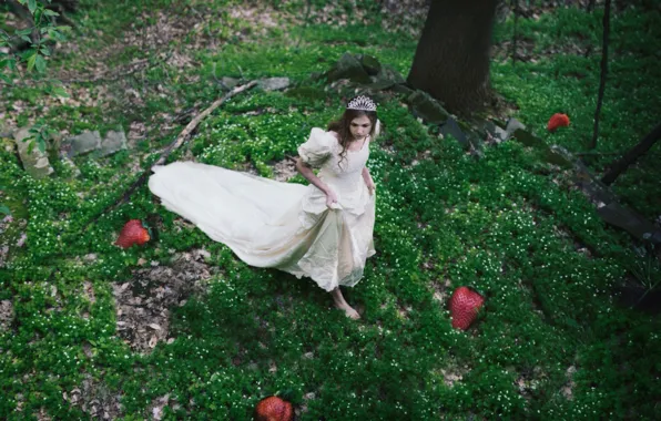Forest, berries, dress, strawberry, girl, Diadema