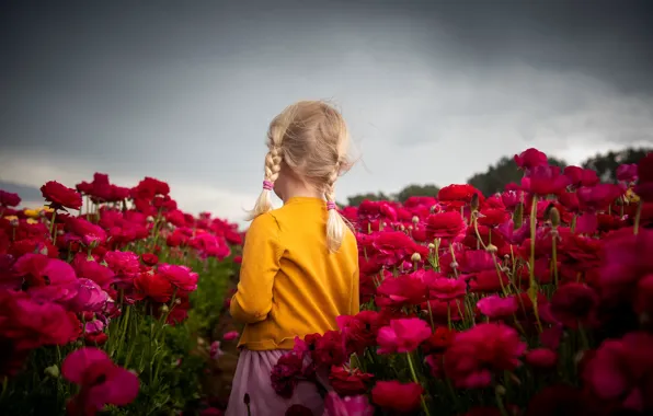 Picture summer, flowers, girl