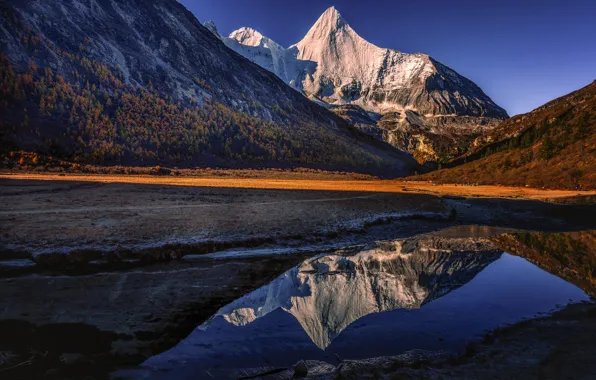 Picture forest, light, mountains, reflection, blue, shore, tops, slope
