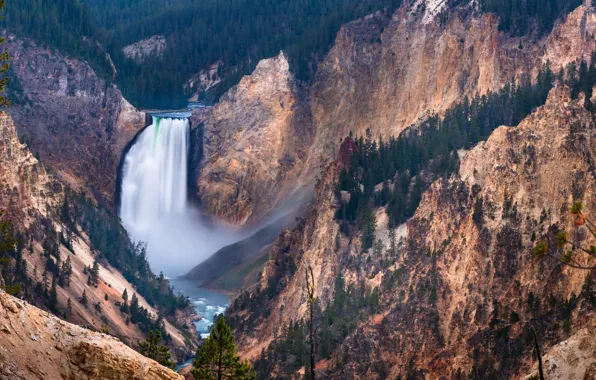 Forest, trees, mountains, river, stones, rocks, waterfall, canyon