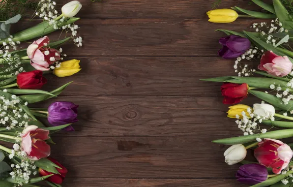 Flowers, colorful, tulips, flowers, beautiful, tulips, spring, multicolored