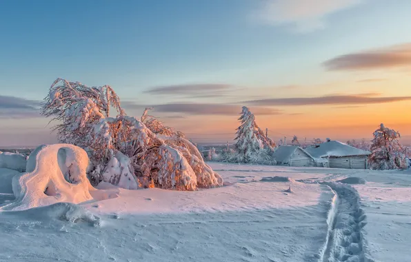 Winter, snow, landscape, sunset