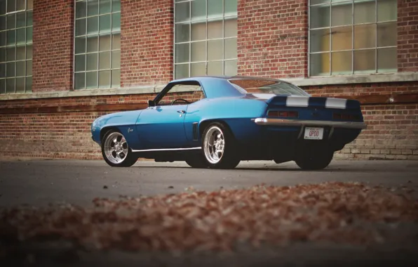 Picture leaves, the building, Windows, Chevrolet, wheel, Camaro, rear