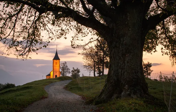 Road, trees, landscape, nature, morning, backlight, meadow, Church