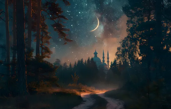 Road, forest, stars, light, trees, night, branches, fog