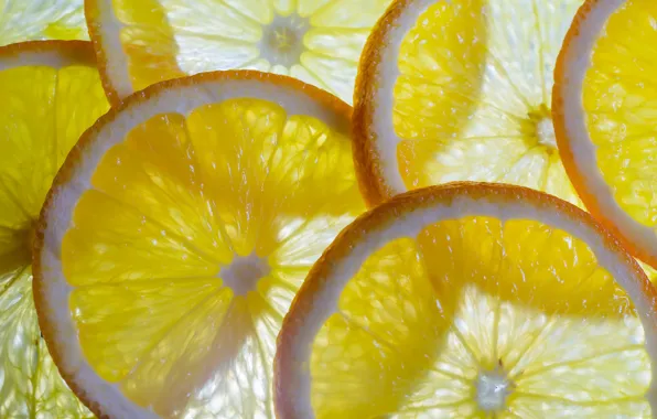 Picture light, transparent, lemon, fruit, circles, slices, cutting, citrus