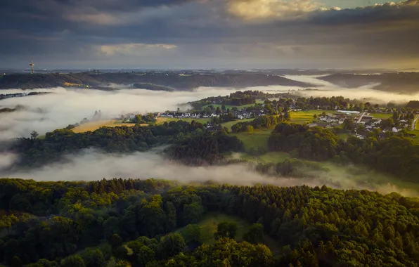 Trees, fog, field, home, Germany, Solingen