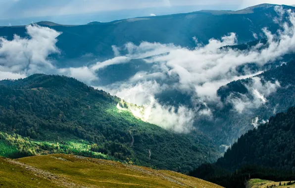 Forest, the sun, clouds, mountains, the view from the top, Romania