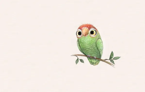 Picture art, children's, parrot, Sydney Hanson