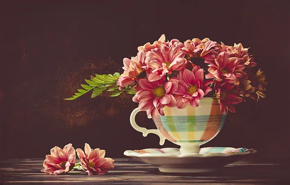 Picture background, Cup, chrysanthemum