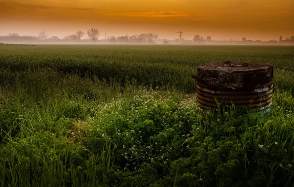 Picture field, landscape, sunset, fog