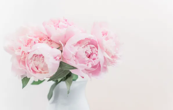 Picture bouquet, pink, peonies, Tanya Andalina