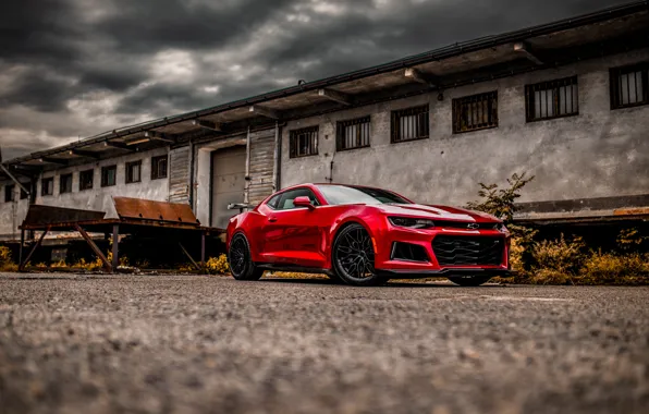 Picture Red, Sky, Camaro ZL1