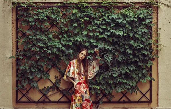 Leaves, girl, wall, dress, model look