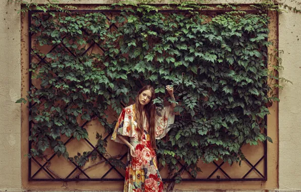 Picture leaves, girl, wall, dress, model look