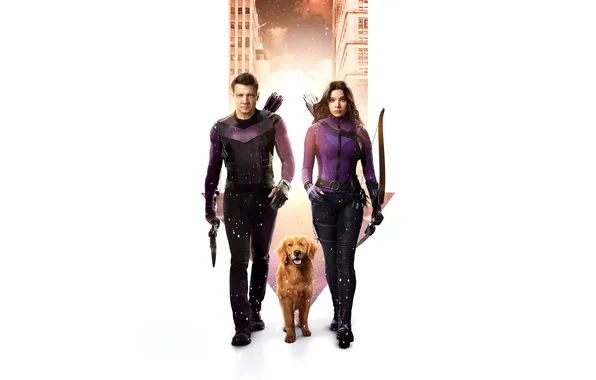 Dog, white background, the series, arrows, poster, comic, costumes, Jeremy Renner