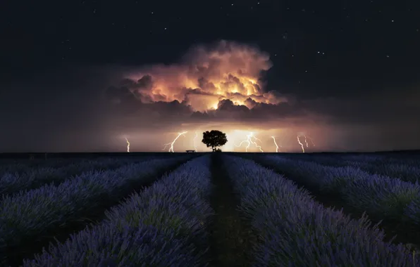 The storm, stars, stars, lavender, lavender, thunderstorm, These@r