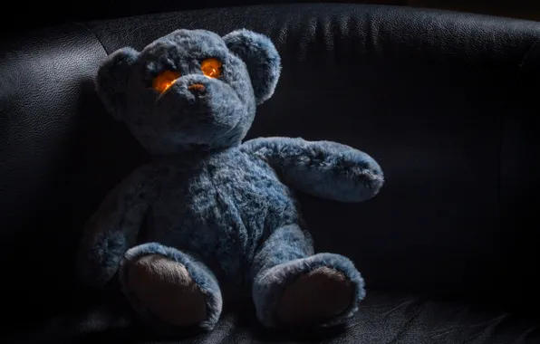 Toy, bear, bear, Teddy bear, glowing eyes