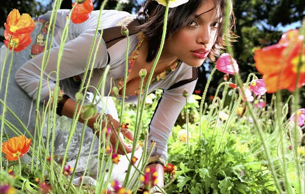 Nature, Maki, brunette, meadow, sponge, spout