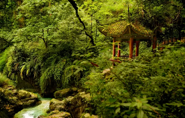 Picture trees, Park, river, China, China, gazebo, Sichuan, Emeishan National Park