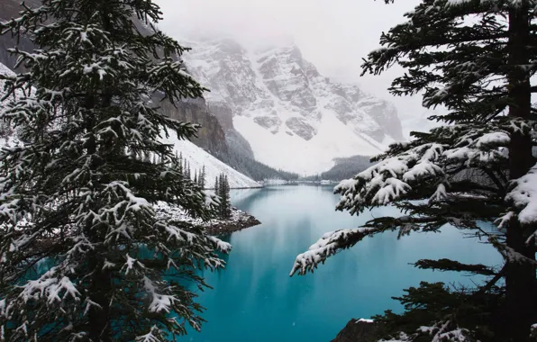 Picture winter, snow, trees, mountains, nature, lake, rocks, Canada