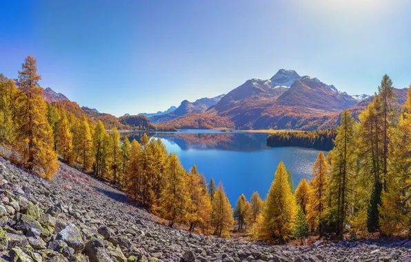 Autumn, forest, trees, landscape, lake, reflection, stones, shore