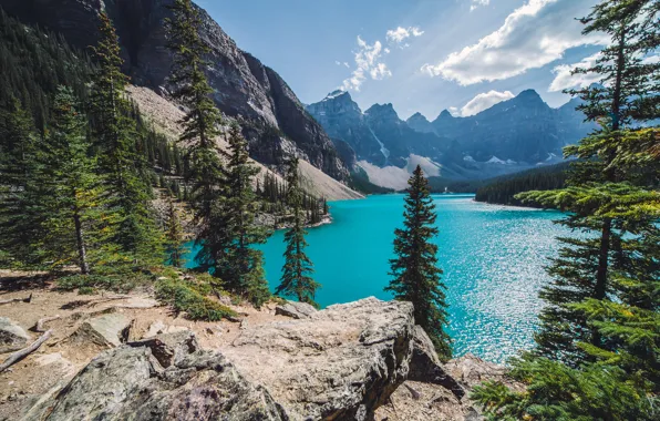 Forest, mountains, lake, Canada, Canada, Moraine Lake, Banff